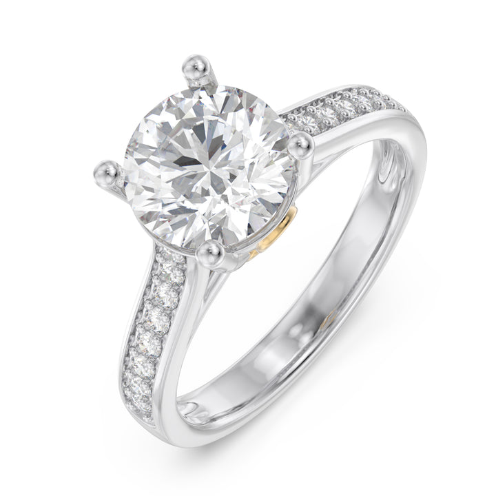 Custom 3D Moissanite Engagement Ring